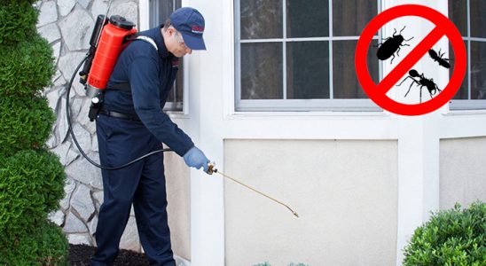 Adalar Dezenfeksiyon böcek ilaçlama ve haşere kontrolü — ilaclama-tr.com